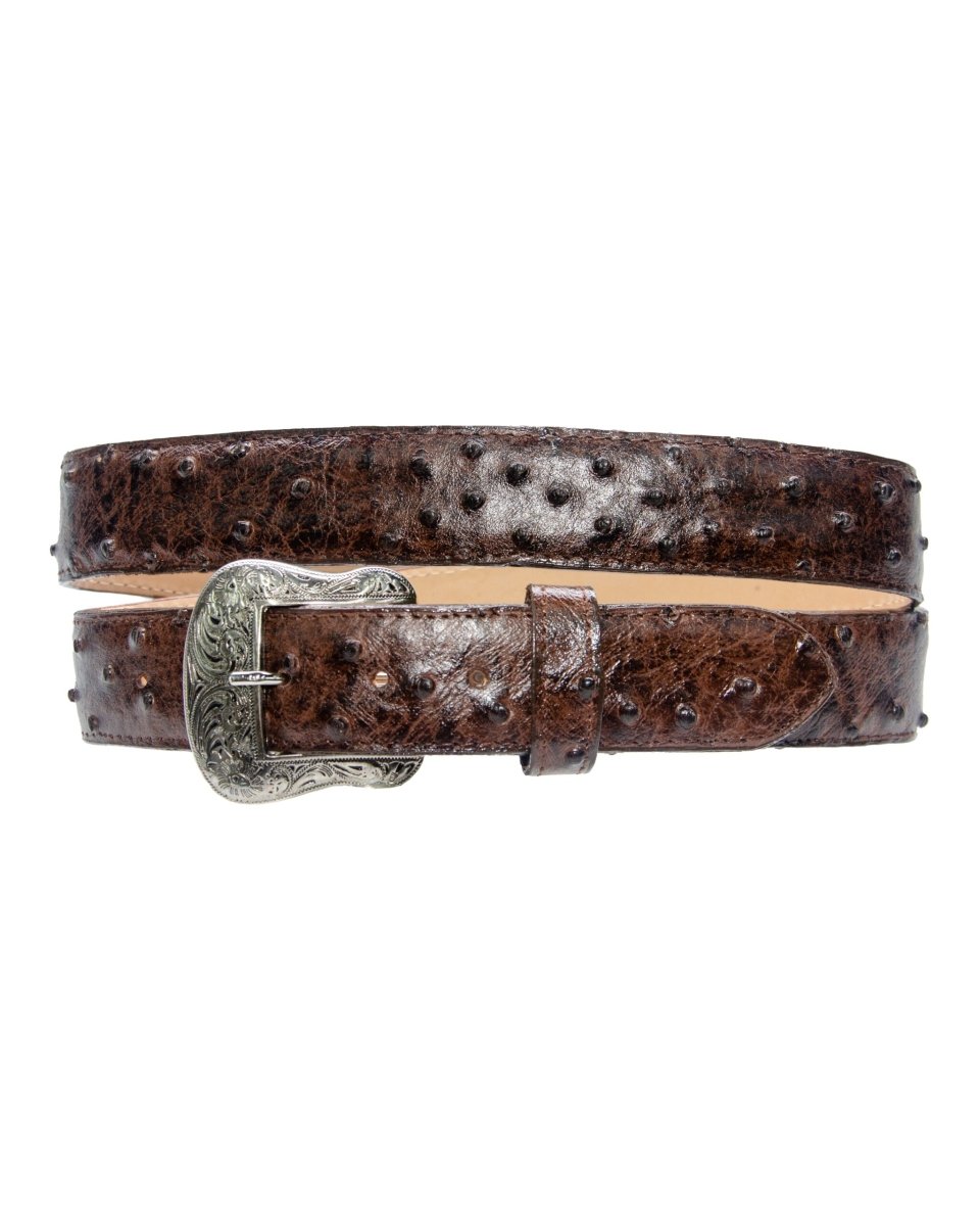 TANNER MARK BELT Rustic Brown Ostrich Print - Rancho Sementalvariable